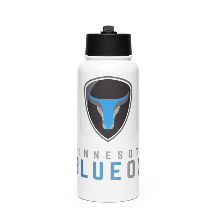 Stainless steel water bottle with a straw lid