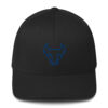 Flex Fit Alternative Hat
