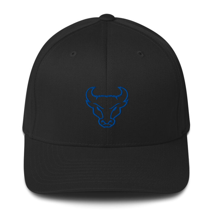 Flex Fit Alternative Hat